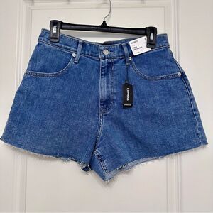 Express Blue Denim Jean Shorts